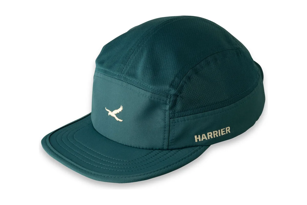 Cap or visor