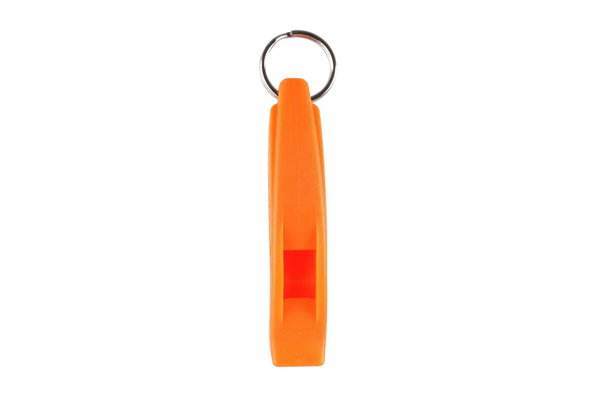 Whistle
