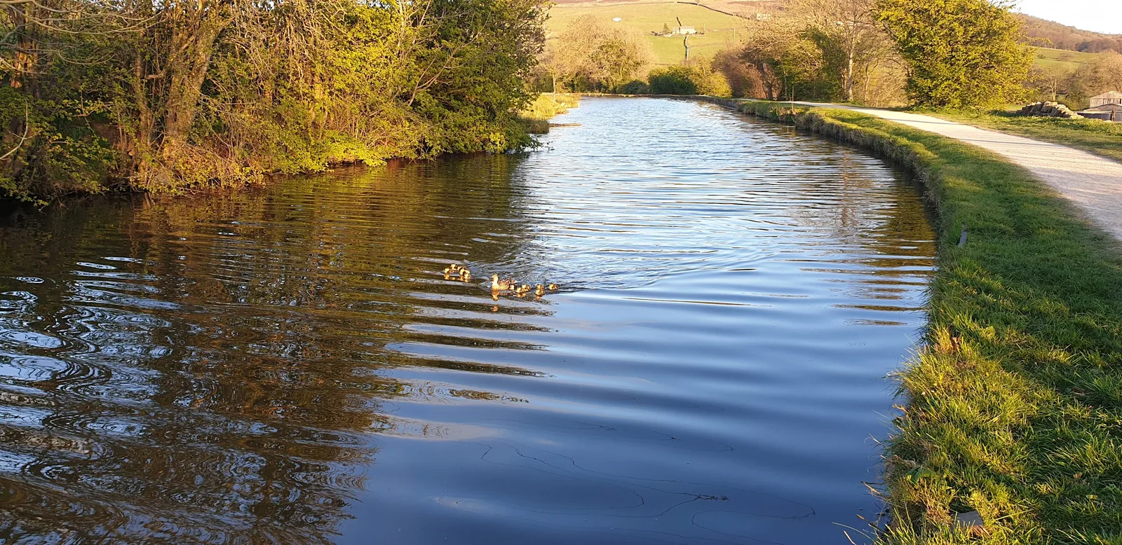 Route photo: Skipton to Saltaire Along the Canal